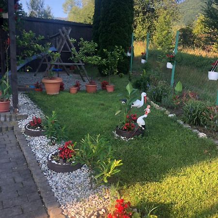 Pensiunea Casa Cu Flori Cisnadioara Exterior foto