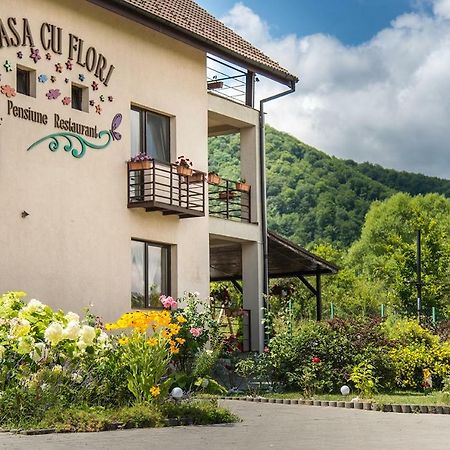 Pensiunea Casa Cu Flori Cisnadioara Exterior foto