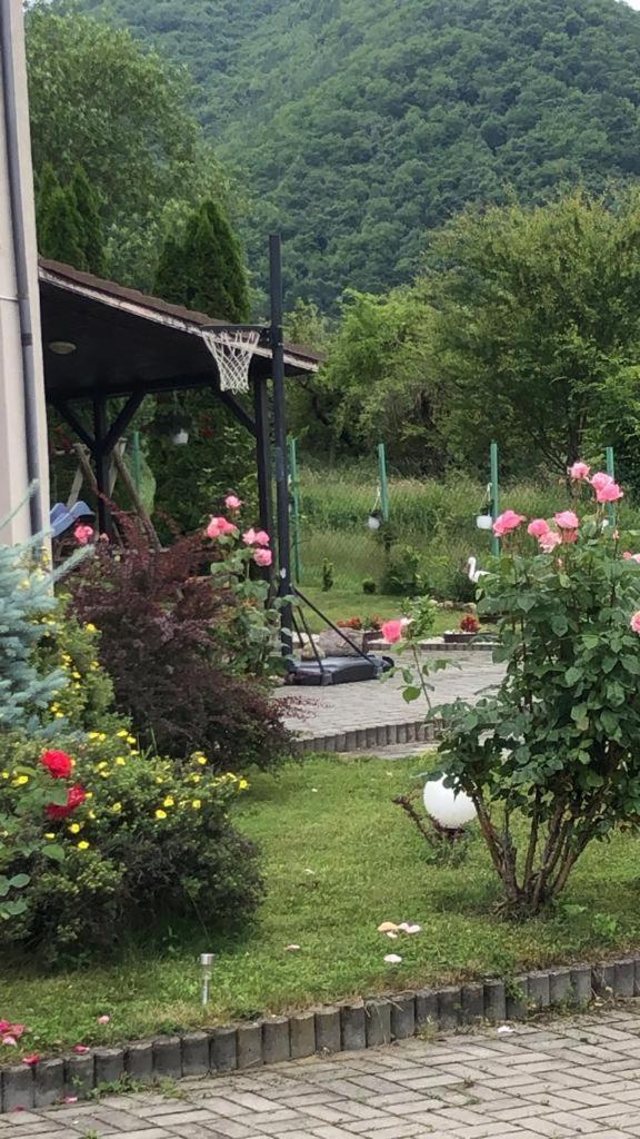 Pensiunea Casa Cu Flori Cisnadioara Exterior foto