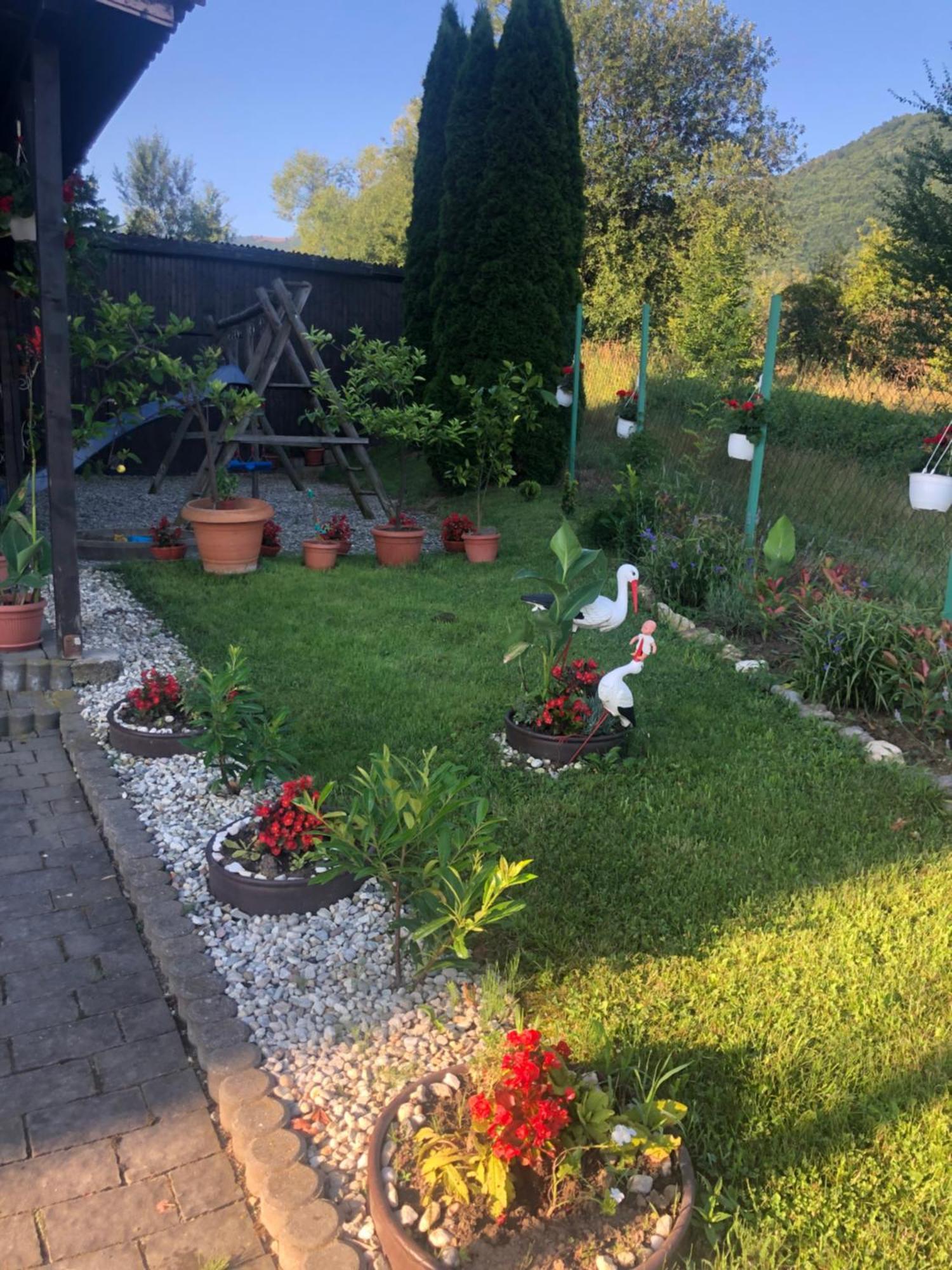 Pensiunea Casa Cu Flori Cisnadioara Exterior foto