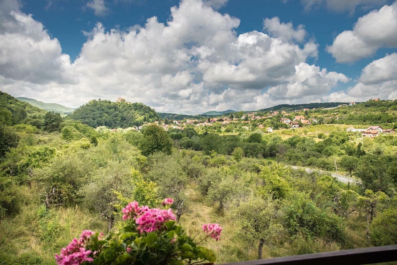 Pensiunea Casa Cu Flori Cisnadioara Exterior foto