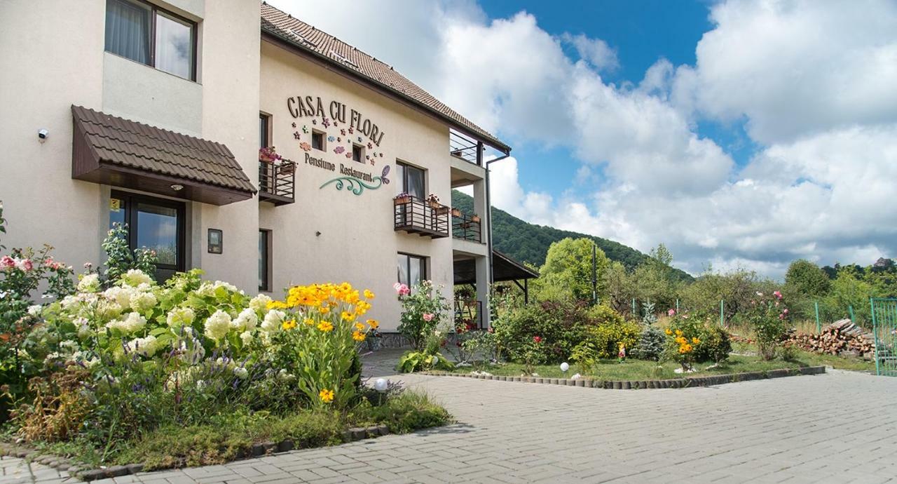 Pensiunea Casa Cu Flori Cisnadioara Exterior foto