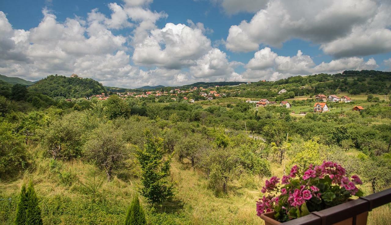 Pensiunea Casa Cu Flori Cisnadioara Exterior foto