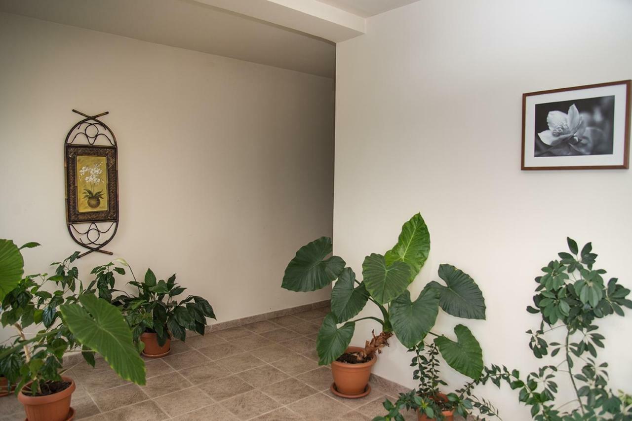 Pensiunea Casa Cu Flori Cisnadioara Exterior foto